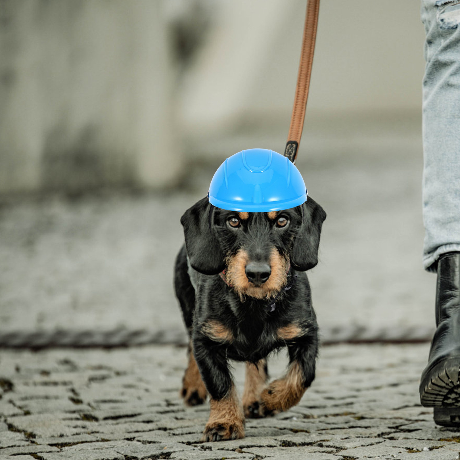Motorcycle Gear Dogs - Small Dog Adjustable Pet Safety Headgear