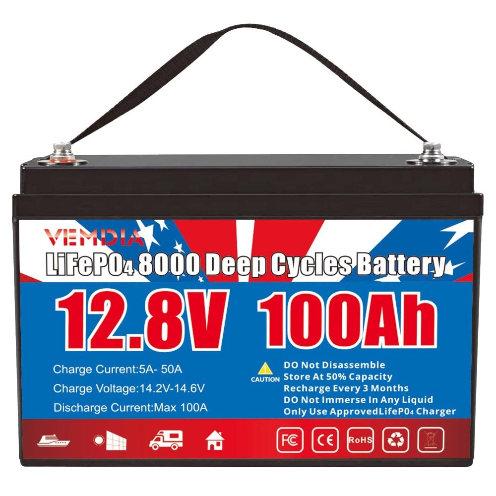 12.8V 100Ah LiFePO4 Battery Bu – Motorcycle Gear Cycle Bewertung und Preis