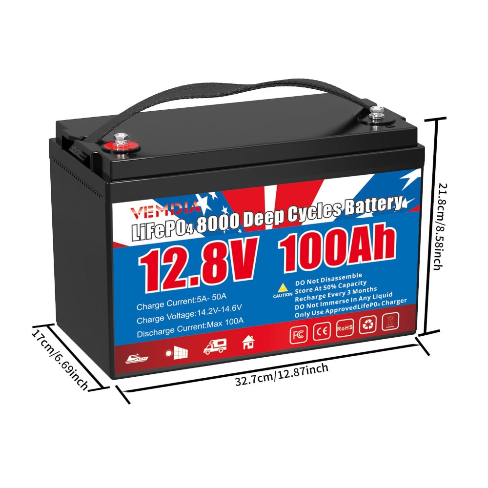 12.8V 100Ah LiFePO4 Battery Bu – Motorcycle Gear Cycle Bewertung und Preis