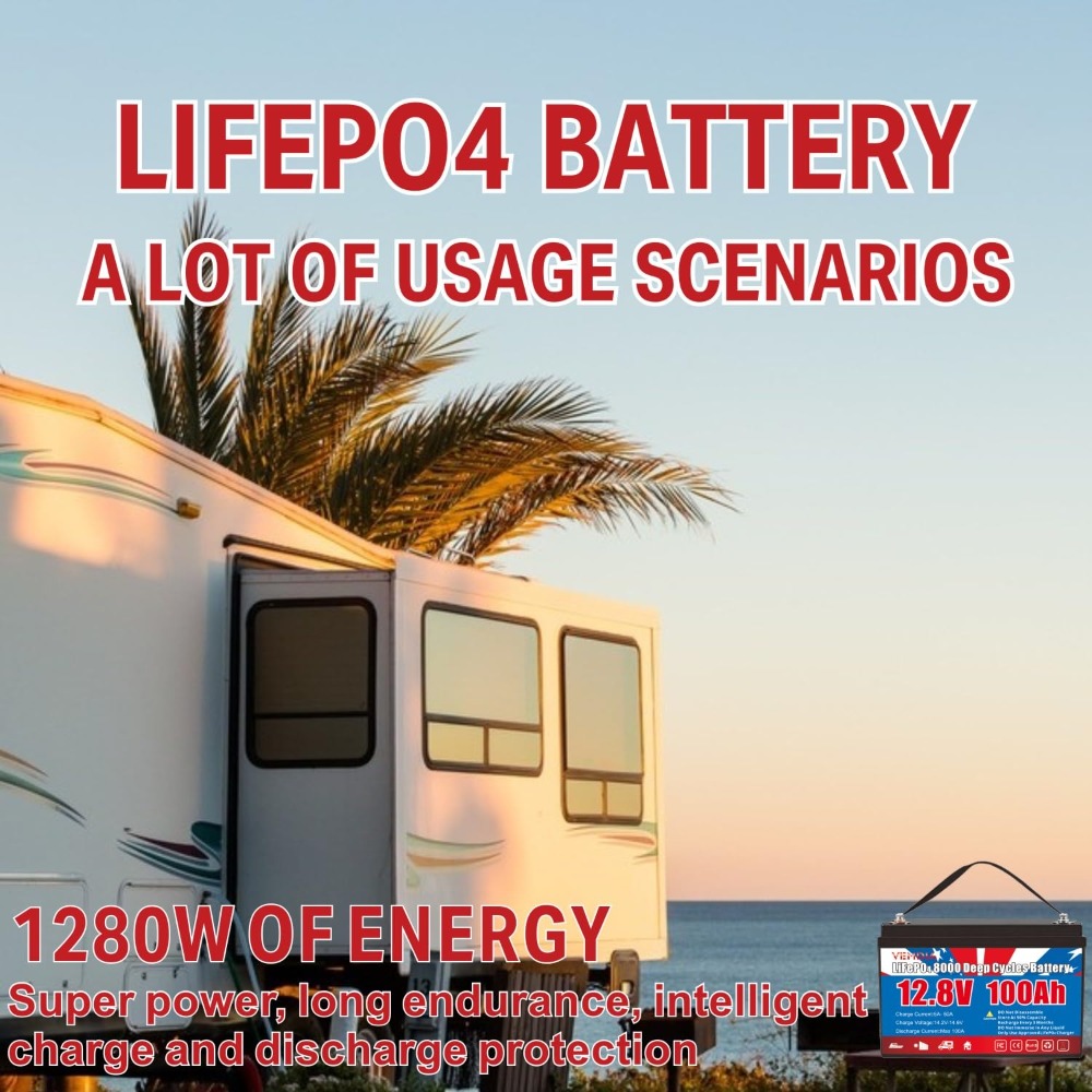 12.8V 100Ah LiFePO4 Battery Bu – Motorcycle Gear Cycle Bewertung und Preis