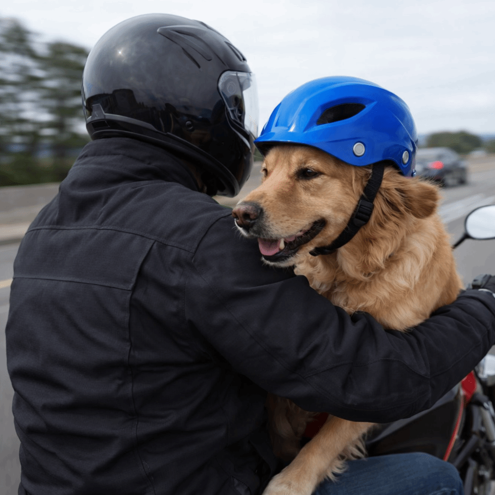 Pet Headgear Adjustable Dog He – Motorcycle Gear Dogs Bewertung und Preis