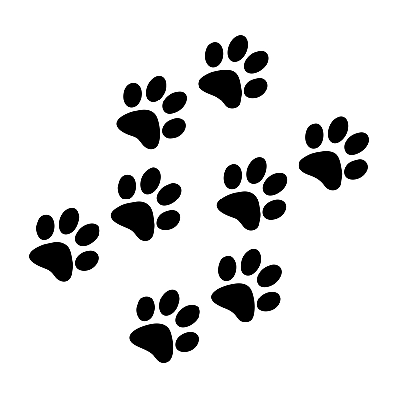 1pc Cat Paw Print Car Sticker  – Motorcycle Gear Auto Bewertung und Preis